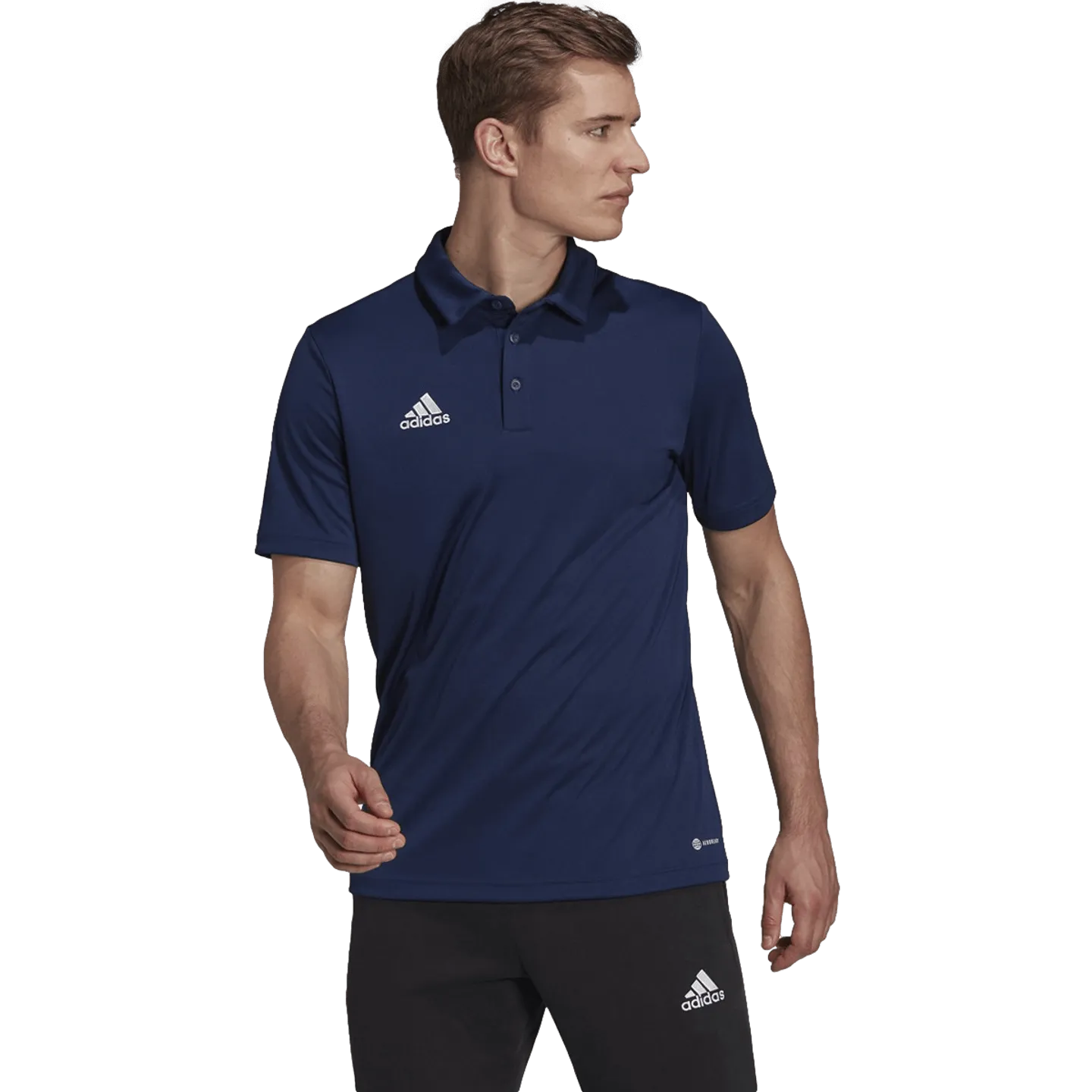 Adidas Entrada 22 Polo Tee