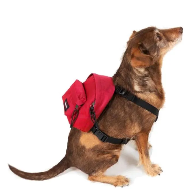 EASTPAK ZAINO DOG PAK'R SAILOR RED EK0A5BE0-84Z