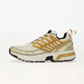 Sneakers Salomon ACS Pro GTX Icicle/ Antelope/ Tea