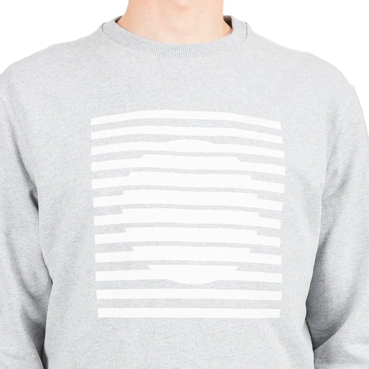 The North Face International Collection Crewneck (Light Grey)